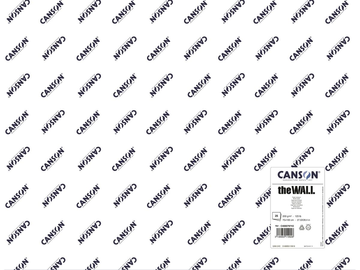 CANSON THE WALL VEL GRAFITTI-PAPIER 70X100CM 200GRAM 1
