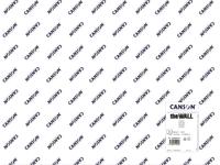 CANSON THE WALL VEL GRAFITTI-PAPIER 70X100CM 220GRAM